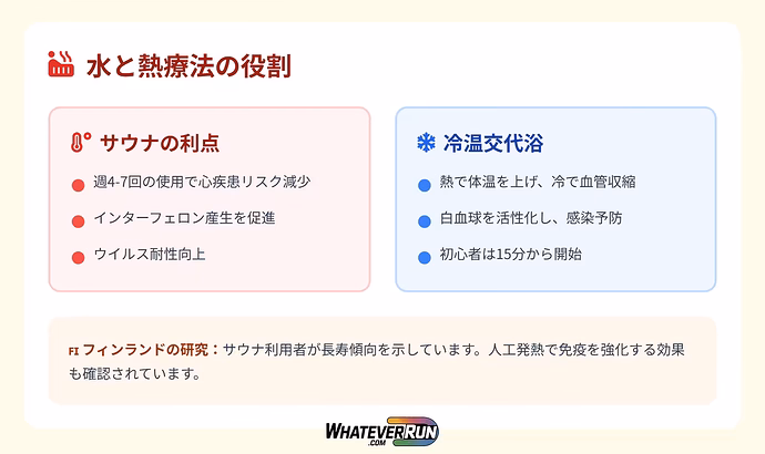 認知症予防とビタミンDの真実_cr4