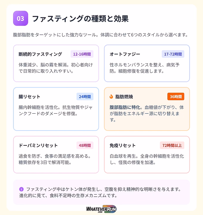 科学的に証明された7つの腹部脂肪燃焼ハック_04