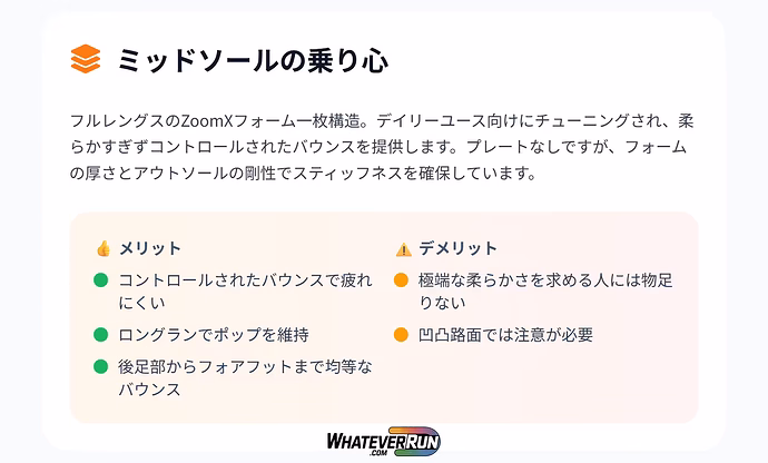 ナイキ-ボメロプラス_03