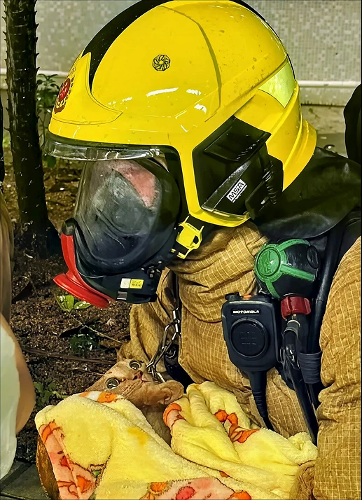 香港高層ビル火災の教訓 3