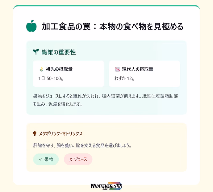 糖分の真実：健康を損なう隠れた敵と対策_03