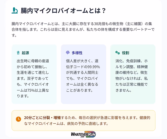 腸内環境を改善する鍵_02