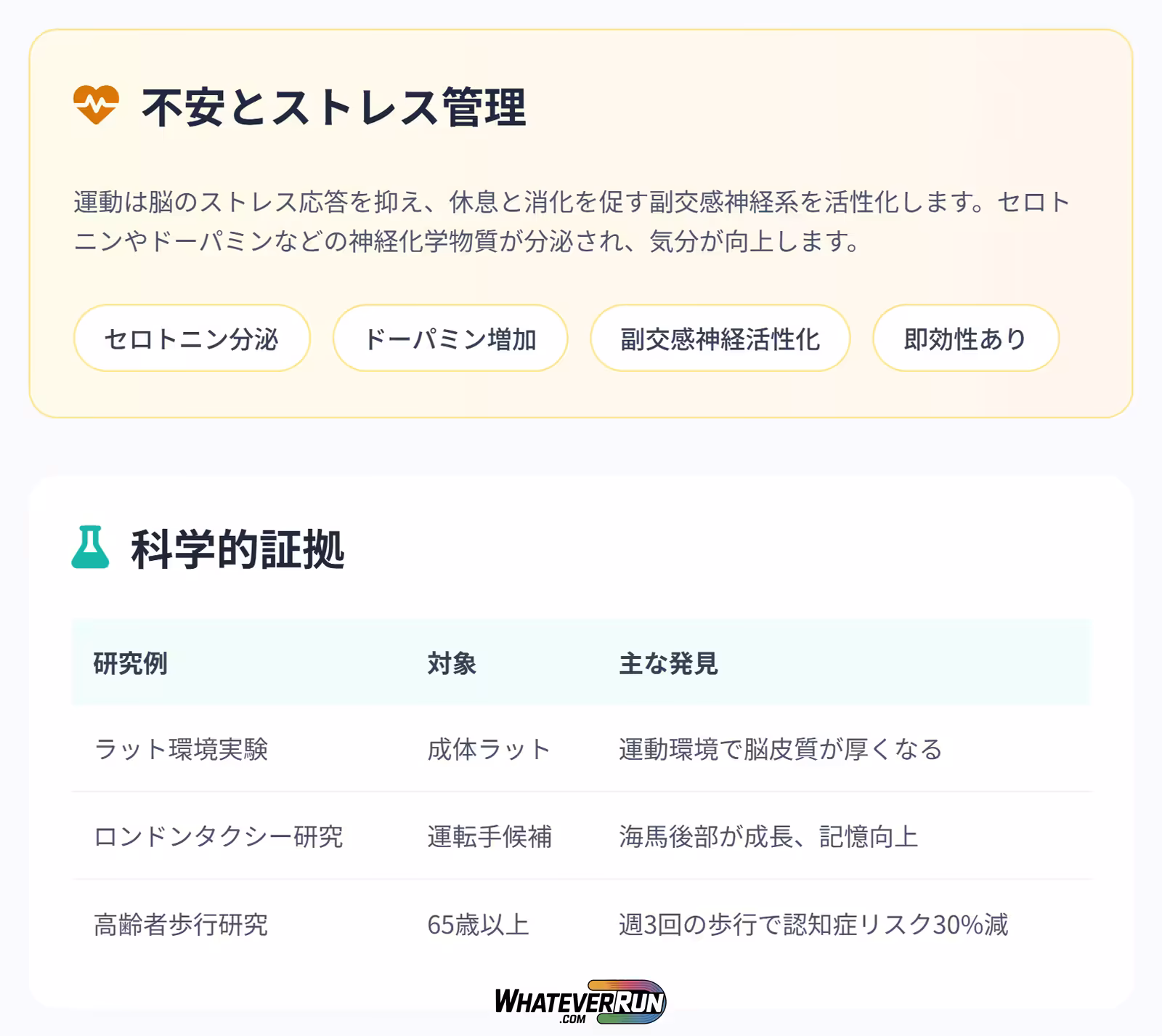 運動が脳を健康に変える!_03