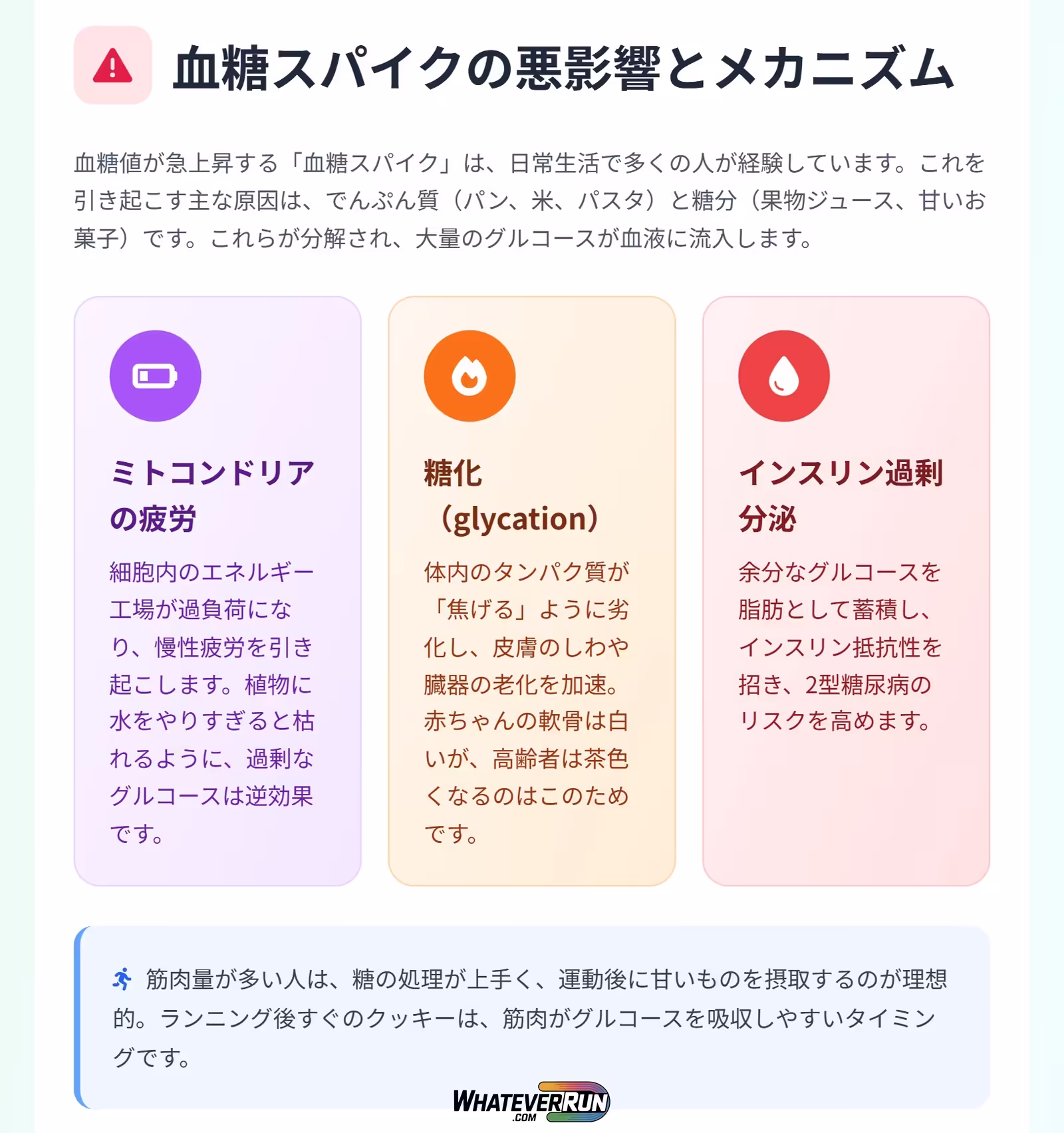 グルコース管理で健康を最適化_cr2