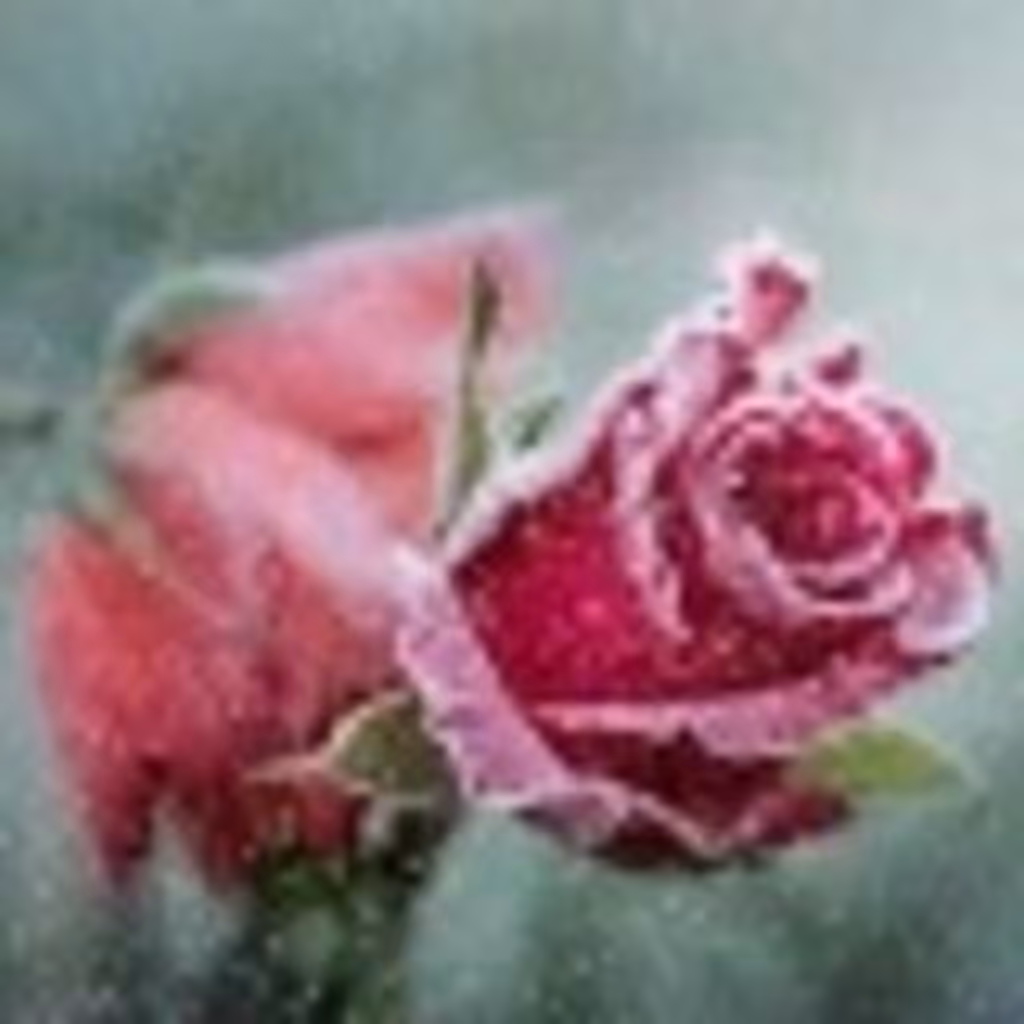 1bd75eba-5d22-42ea-a1a6-f9fdfe2ba8da4x